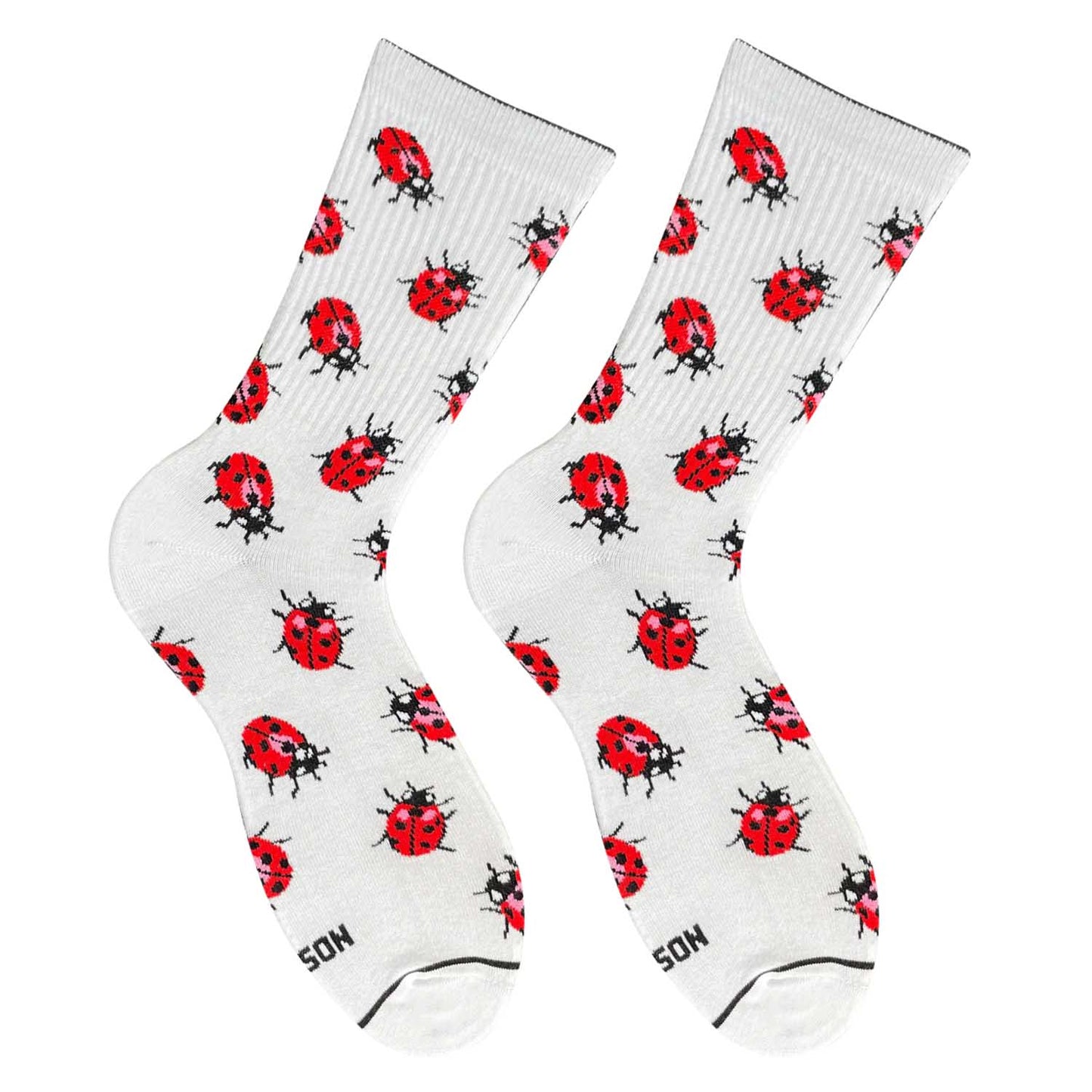 Ladybug