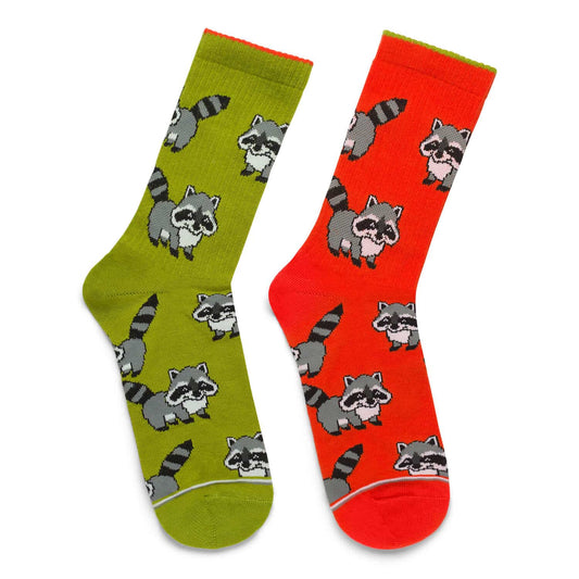 Color Raccoon